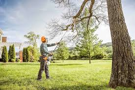 How Our Tree Care Process Works  in  Glen Ellyn, IL